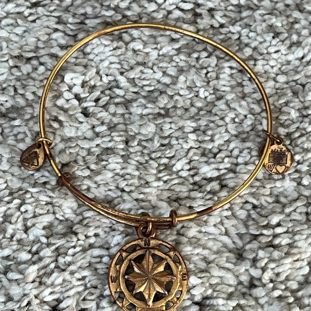 Alex and Ani charm bangles set of 9 - Picture 7 of 11